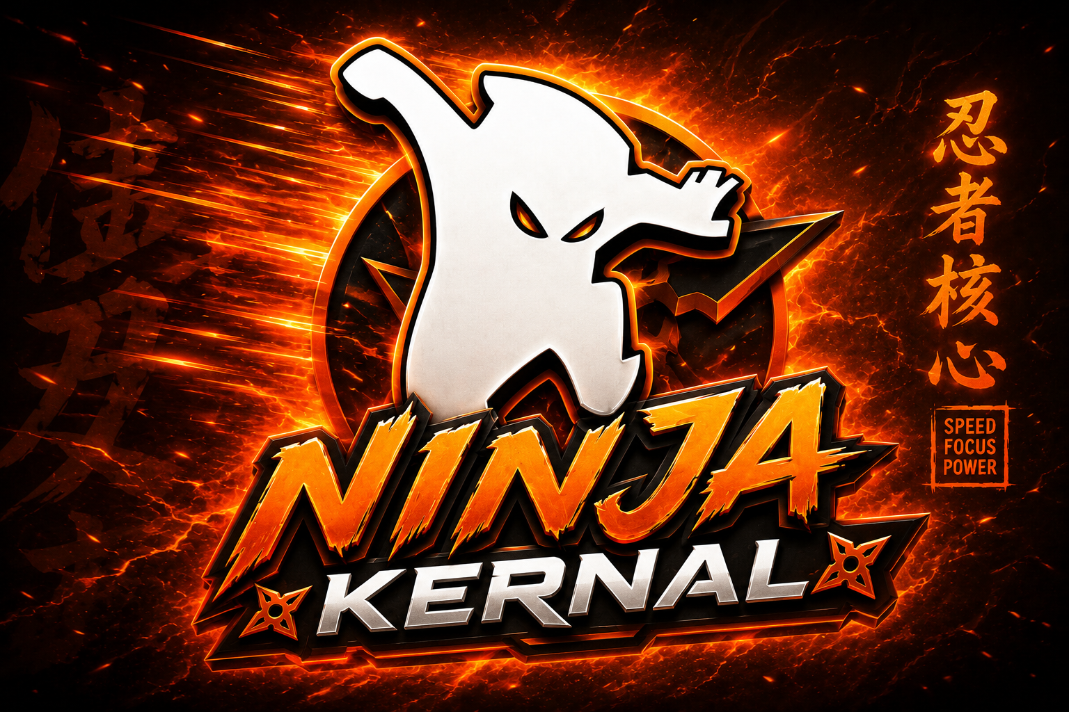 NINJA KERNEL DAY